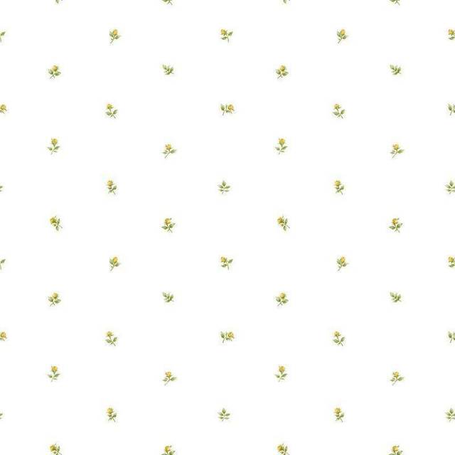 Galerie Rose Garden Floral White Wallpaper RG35721, White