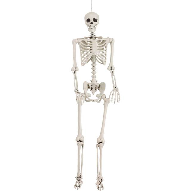 Georgie the Skeleton 5FT Posable Life Size Halloween Prop - Brown (One-Size)