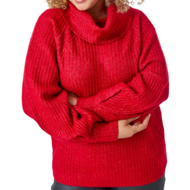 Roman Curve Bordeaux Longline Turtle Neck Jumper - Size 18