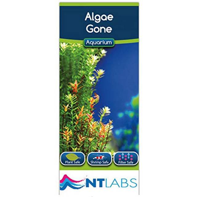 NT Labs Algae Gone Aquarium Fish Tank Green Water / Algae Treatment 250ml