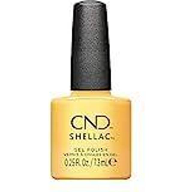 Shellac Sundial It Up S # 445