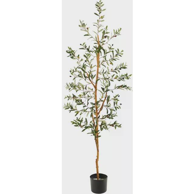 5.5 Olive Artificial Tree