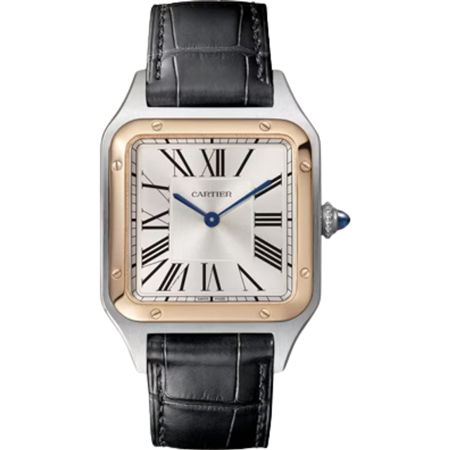 Cartier W2SA0011 Santos Dumont Silverfärgad/Läder