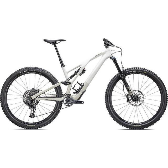 Specialized Stumpjumper EVO Expert | Gloss Birch / Taupe