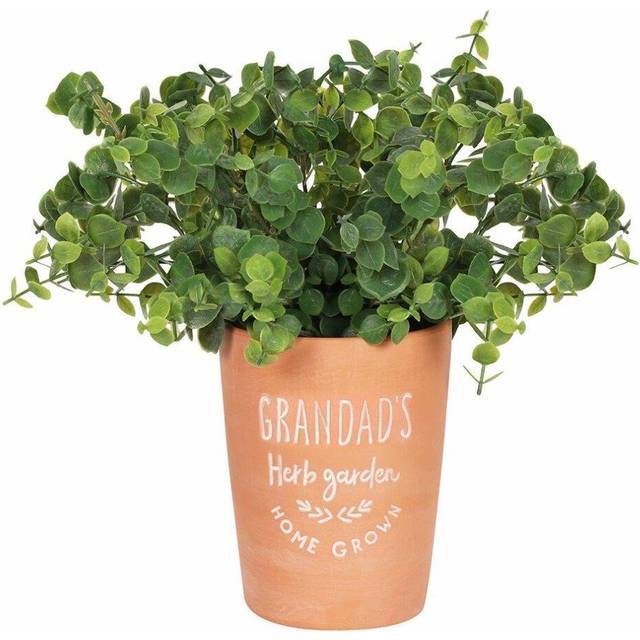 Grandad's Terracotta Garden Plant Pot - orange - one size