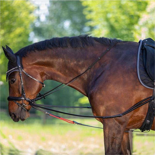 Waldhausen Træningsglidetøjle Pony