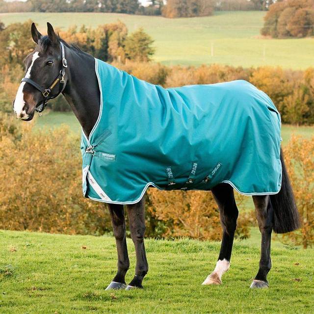 Horseware Amigo Bravo 12 Wug medium storm grön storlek valbar (130)