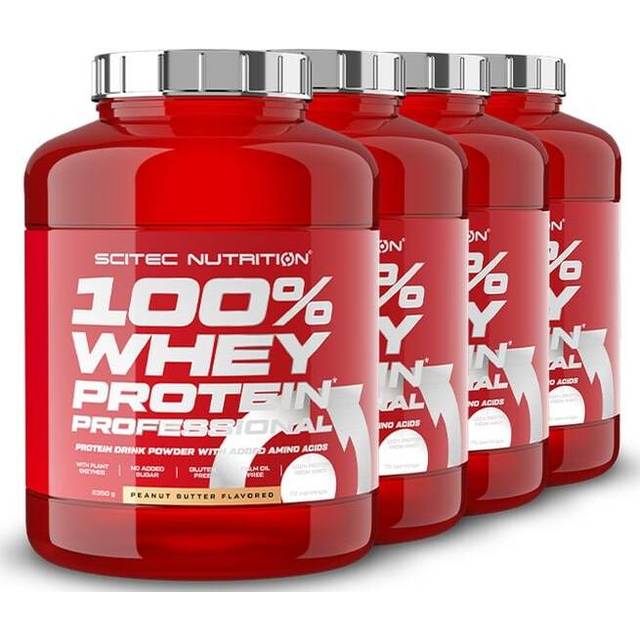 BIG BUY 4 x 100% Whey Protein Professional Vassleprotein 2350 g