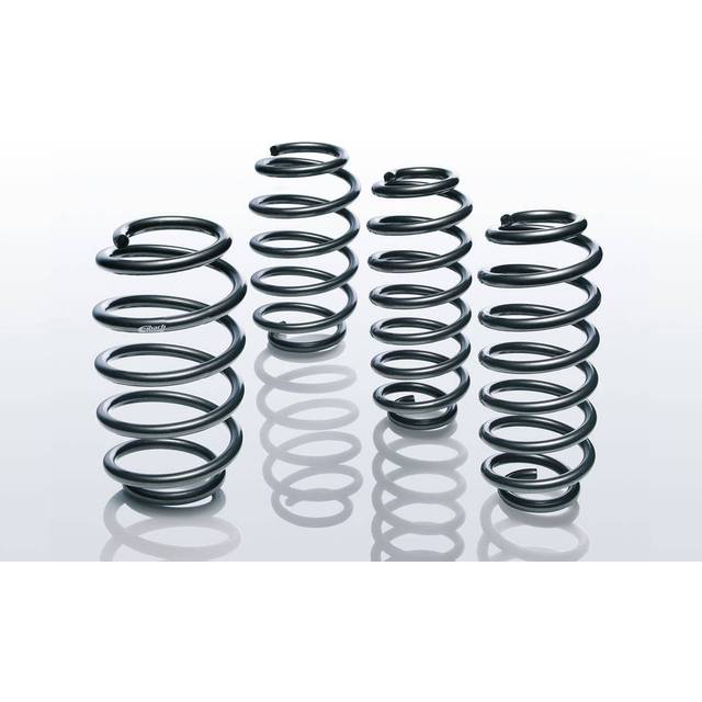 Chassis, springs E10200290122