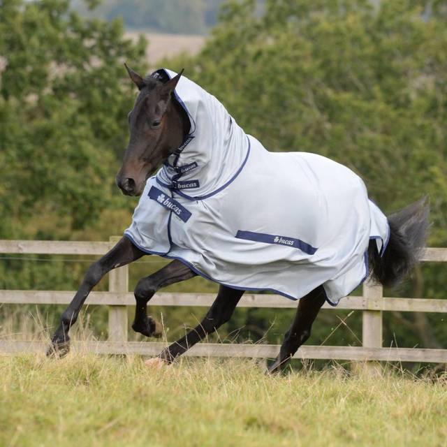 Belly band for horse blanket Bucas Buzz-Off & Neck - Bleu