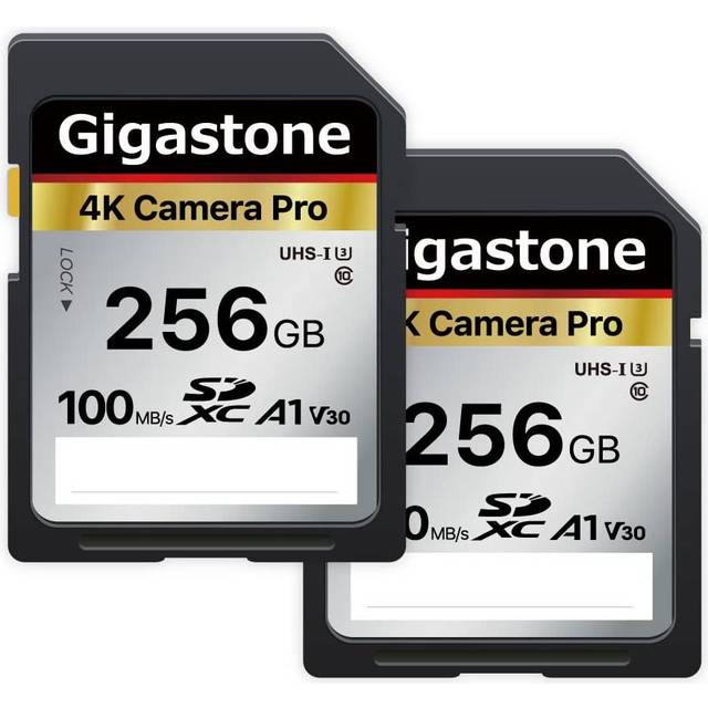 GIGASTONE 256GB 2-Pack SD Card A1 V30 U3 SDXC Memory Card High Speed 4K Ultra HD UHD Video Compatible with Canon Nikon Sony Pentax Kodak Olympus Panas