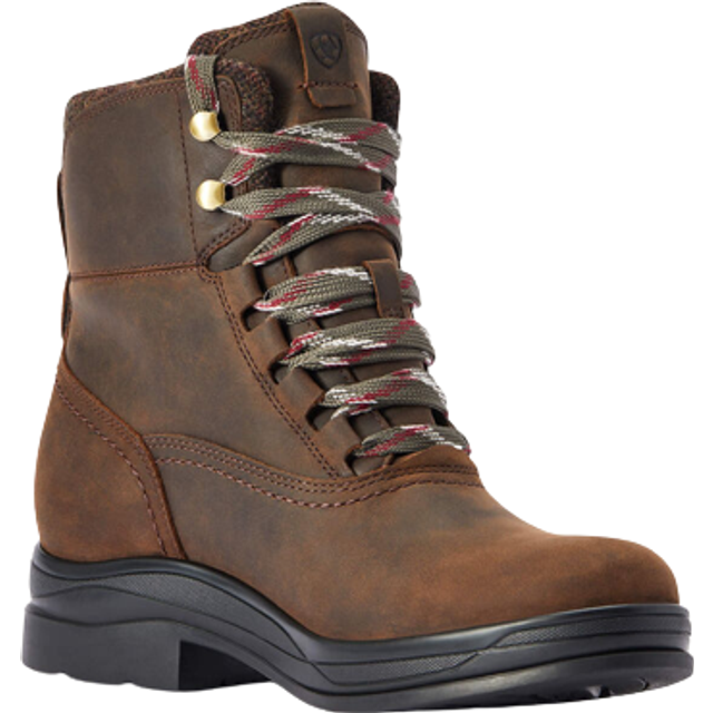 Women’s stable shoes Ariat Harper H2O - Marron