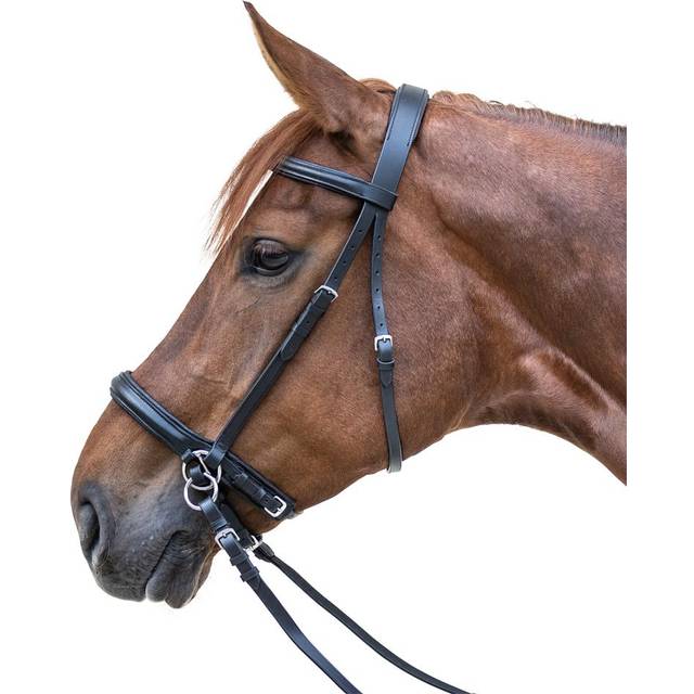 Combined bridle with noseband, without bit Star - Noir