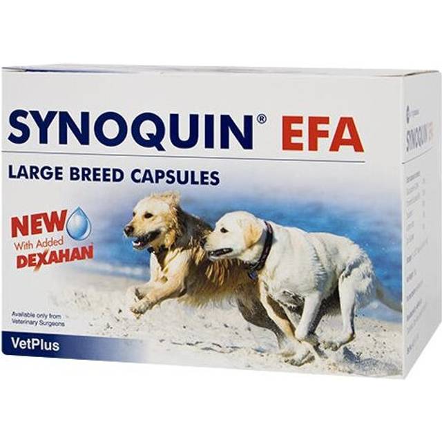Synoquin EFA Joint Supplement Capsules For Large Breed Dogs Pack 120