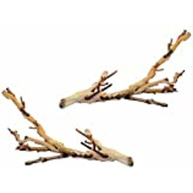 Exo Terra Forest Branch