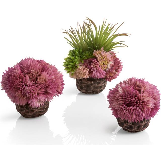 Oase - biOrb coral ball set purple
