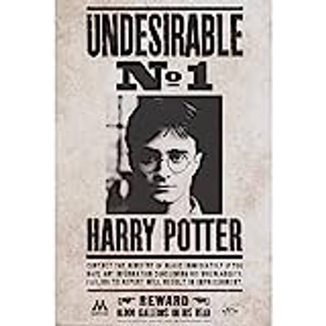 Harry Potter Undesirable No.1 Poster multicolour - Onesize