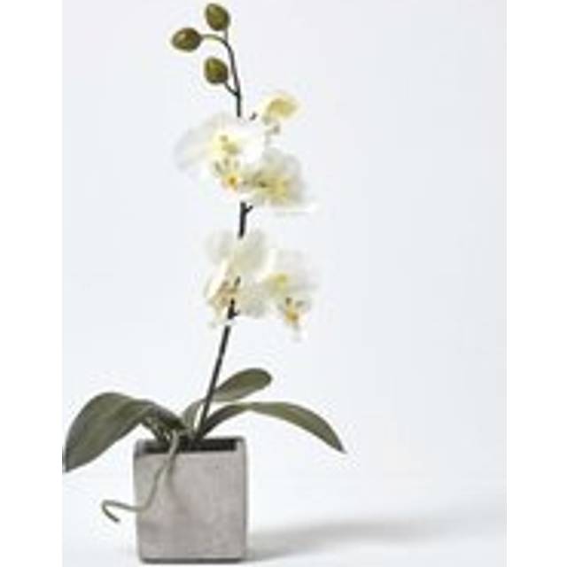 Homescapes Lifelike White Artificial Orchid in Stone Pot, 40cm tall