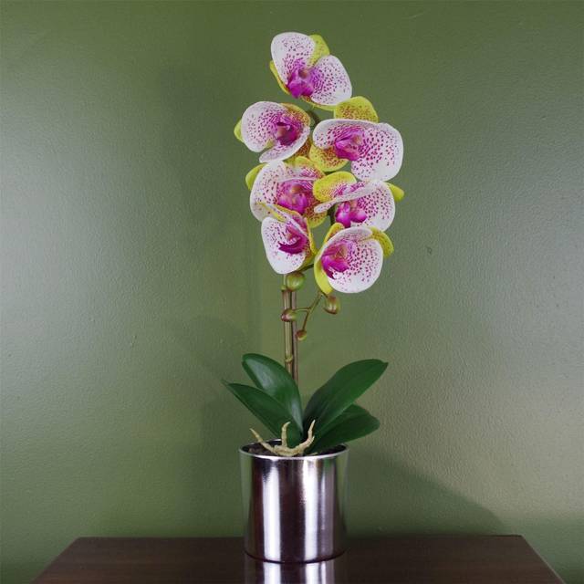 Orchid in Pot - Pink (46cm H X 15cm W X 15cm D)