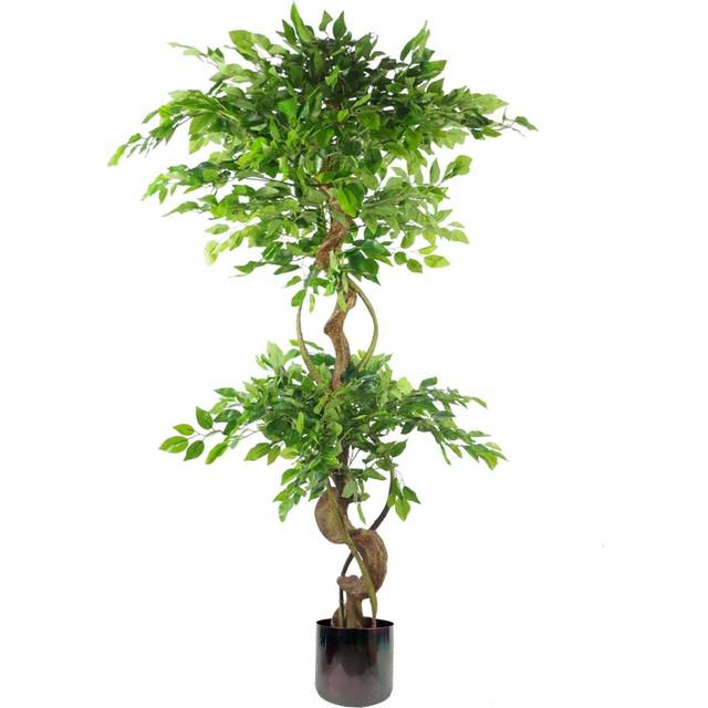 Leaf 150Cm Twisted Trunk Artificial Japanese Fruticosa Ficus Tree Rainbow Planter, Green