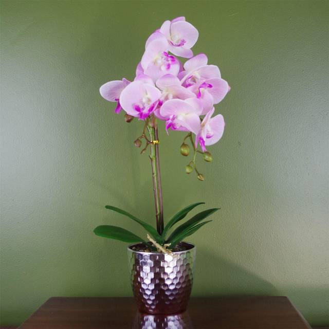 50Cm Orchid Artificial Flowering Plant in Pot - White (50cm H X 20cm W X 20cm D)
