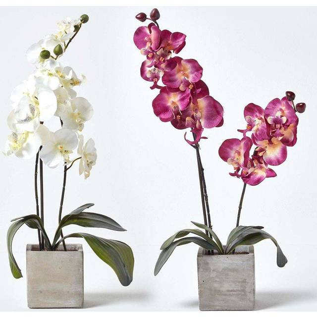 Homescapes Set of 2 Artificial Purple & Cream Orchid in Stone Pot 57cm