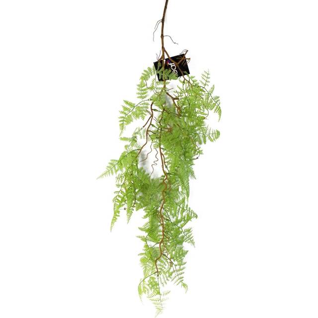 52cm Artificial Orchid Large -White / Silver