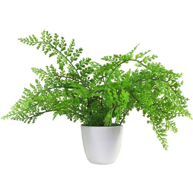 Leaf Artificial Fern Plant Pot Royal Fern 30Cm UK Plants, Green