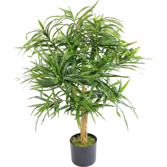 Leaf - 100cm Artificial Dracaena Plant Tree with Pot - Premium Range