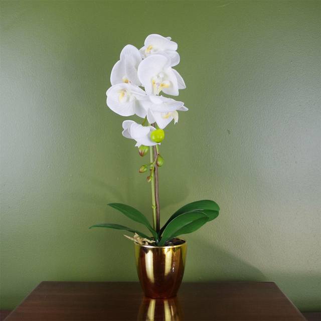 Orchid in Pot - White (48cm H X 20cm W X 20cm D)