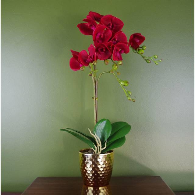 Leaf 50Cm Phalaenopsis Orchid Artificial - Dark Red - Gold Pot, Red