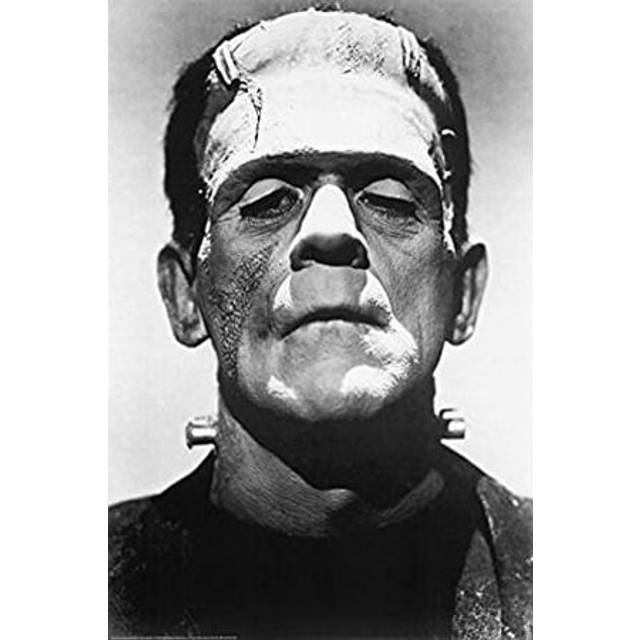 Frankenstein Movie (Boris Karloff  CloseUp) Poster Print  24x36