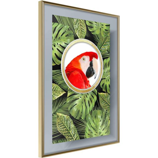 Inramad Poster / Tavla - Parrot Says Hi - 30x45 Guldram