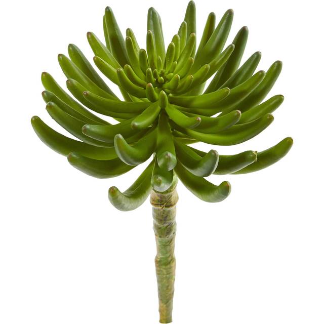 Nearly Natural 12-in. Succulent Artificial (Set of 6) Silk Plants, Green