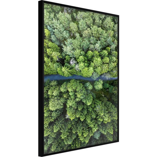 Inramad Poster / Tavla - Forest from a Bird's Eye View - 30x45 Guldram