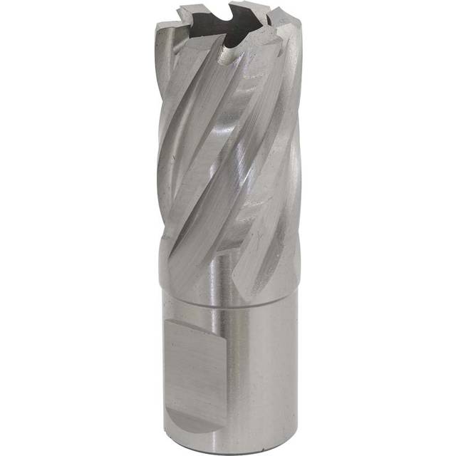 Worksafe RBHSS20S Rotabor Cutter HSS Ø20mm - Cut Depth 25mm