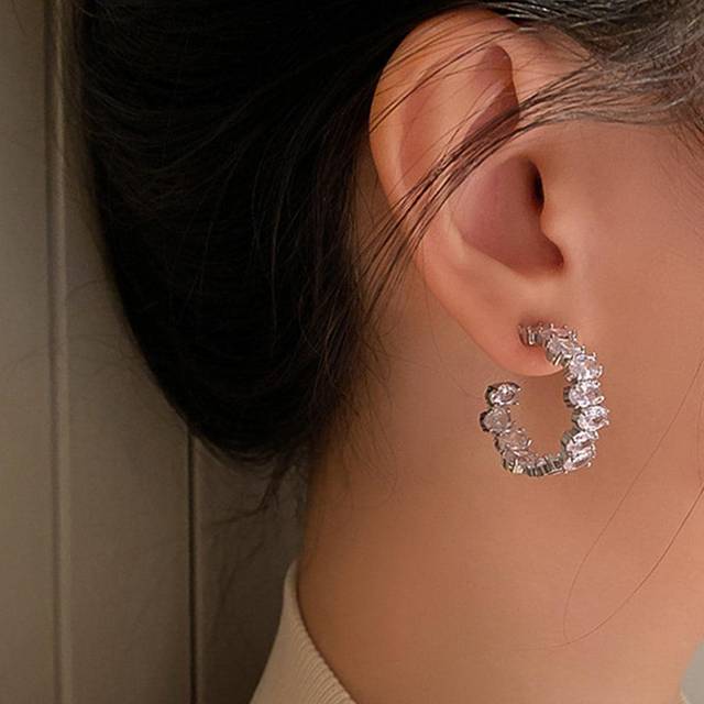 rakol Cubic Zirconia Decor Hoop Earrings