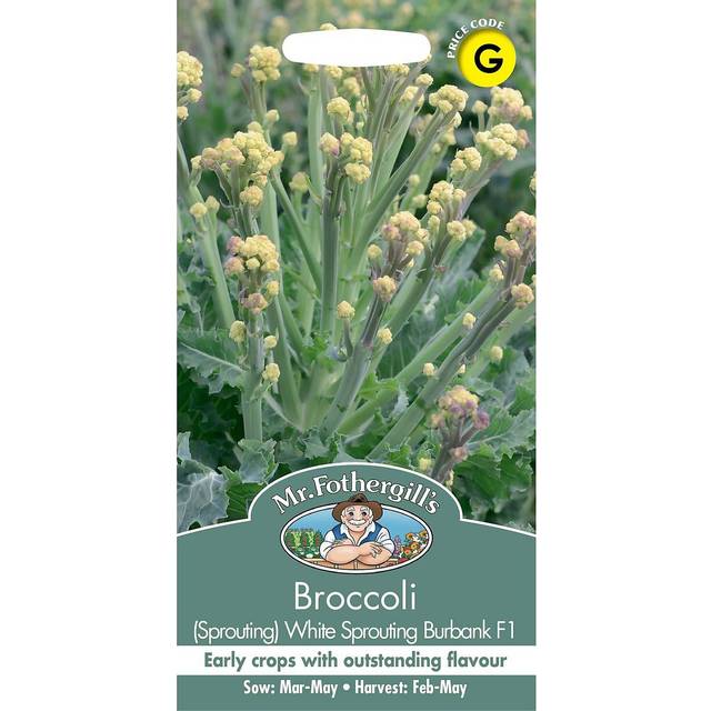 Broccoli 'Burbank' F1