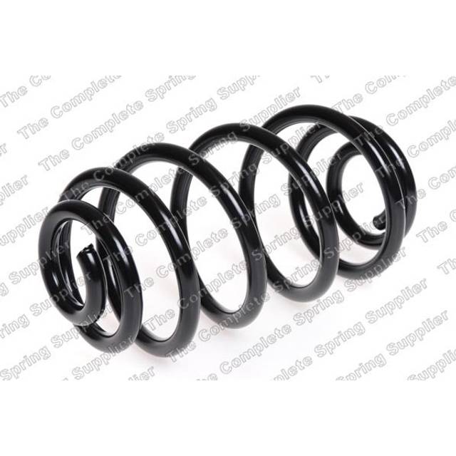 Triscan Rear Axle Coil Spring
