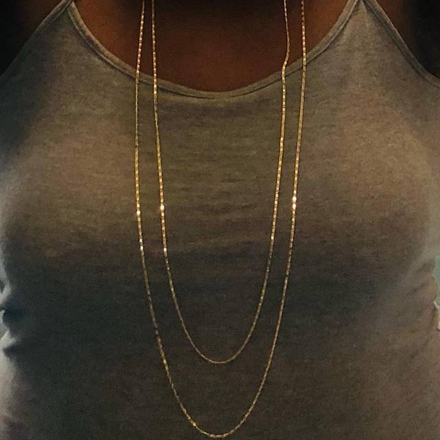 SHEIN Minimalist long Layered Necklace