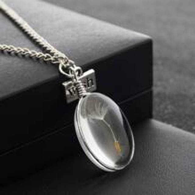 SHEIN 1pc Wish Heart Shaped Pendant Dandelion Real Dry Flower Necklace Valentines