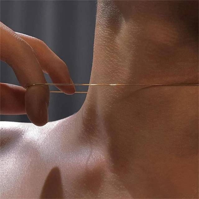 SHEIN 1 Pc Vintage Gold Color Snake Chain Necklace For Women Fashion Simple Alloy Clavicle Chain Necklace Men Party Jewelry Accessories