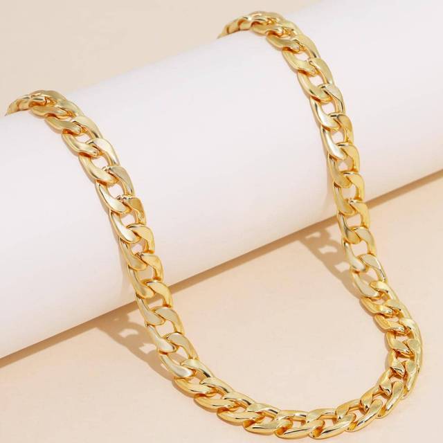 SHEIN 1pc Simple Chunky Chain Clavicle Chain Necklace Women Girls Jewelry Accessories