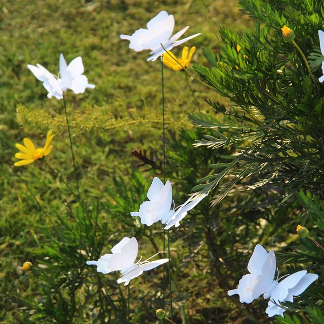 SHEIN 10pcs PVC Decorative Garden Stake, White Butterfly Decor Landscape Garden Stake For Outdoor