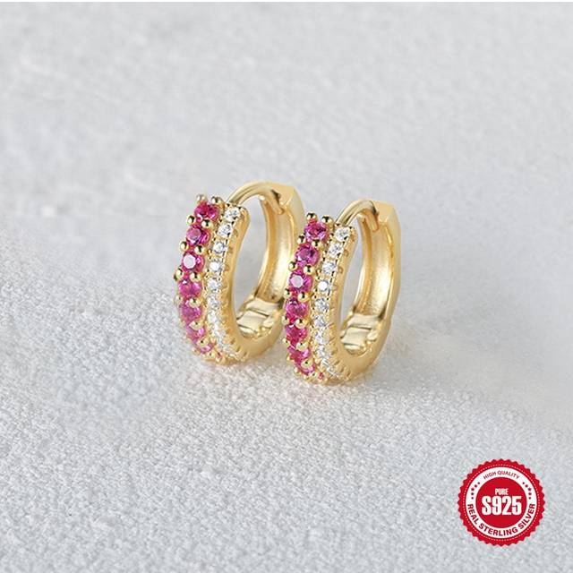 SHEIN 1 Pair Fashionable Minimalist S925 Sterling Silver Personality Double Row Mixed Color Hoop Earrings