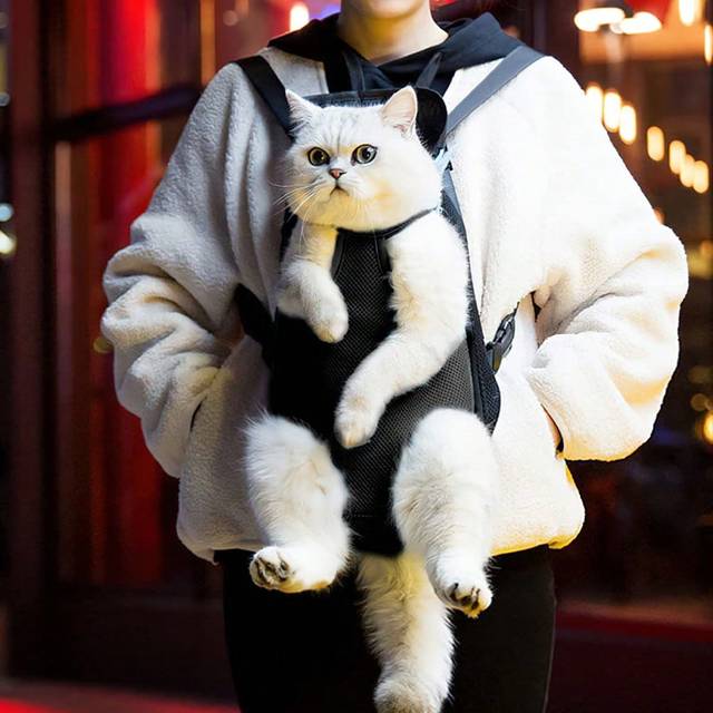 SHEIN 1 Pc Legs Out Front Pet Dog Carrier ,Front Chest Backpack ,Pet Cat Puppy Tote Holder Sling Bag For Small Puppy Keep