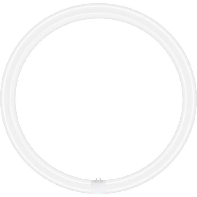 Ledvance T9 Circular LED Light Bulb LEDTUBE 4-Pin 24W (40W Eqv) Daylight