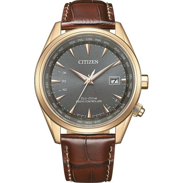 Citizen Mens Brown Watch CB0273-11H Leather (archived) - One Size