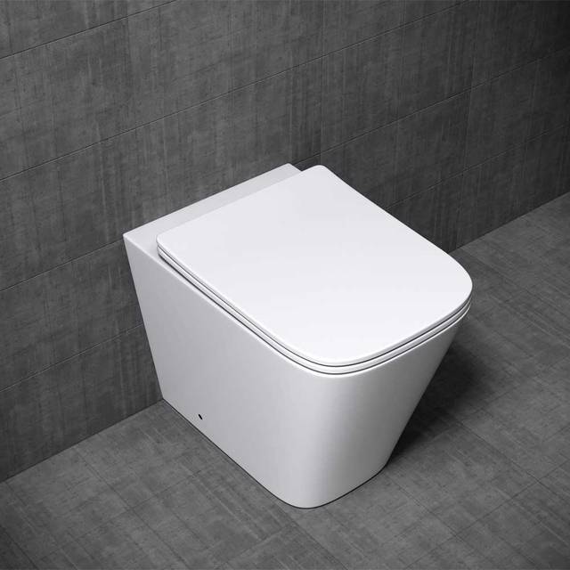 Durovin Bathrooms Back To Wall Rimless Toilet - Short Projection