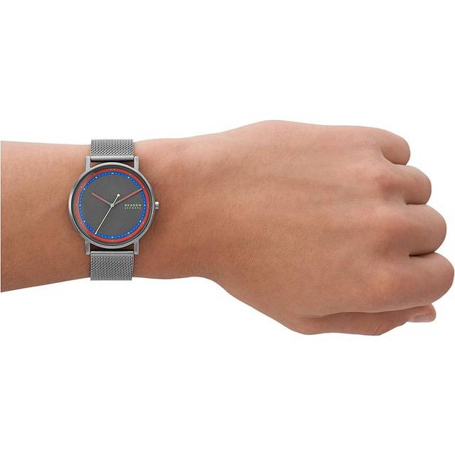 Skagen Herrenuhr SIGNATUR SKW6900 - grau